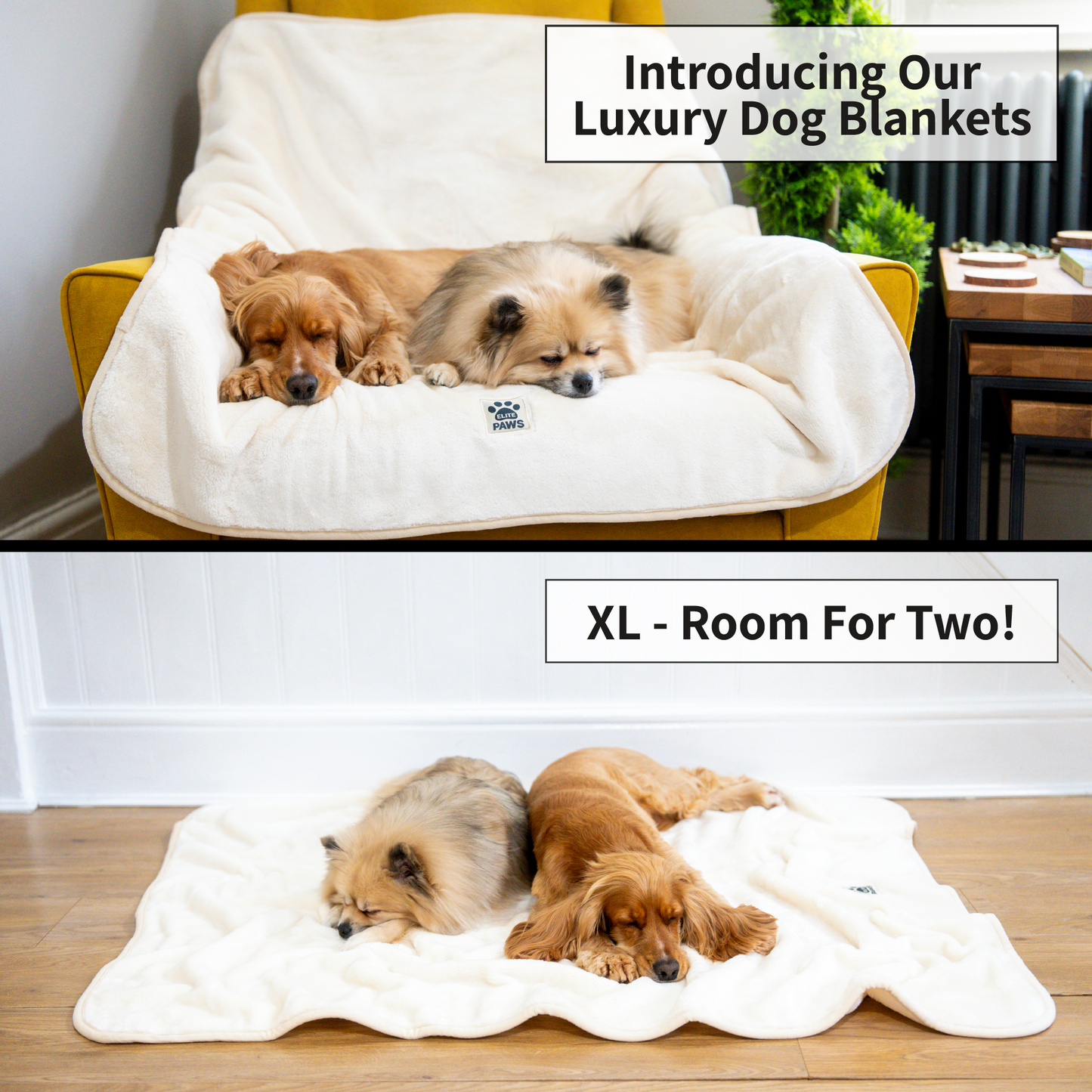 Luxury Dog Blanket - XL