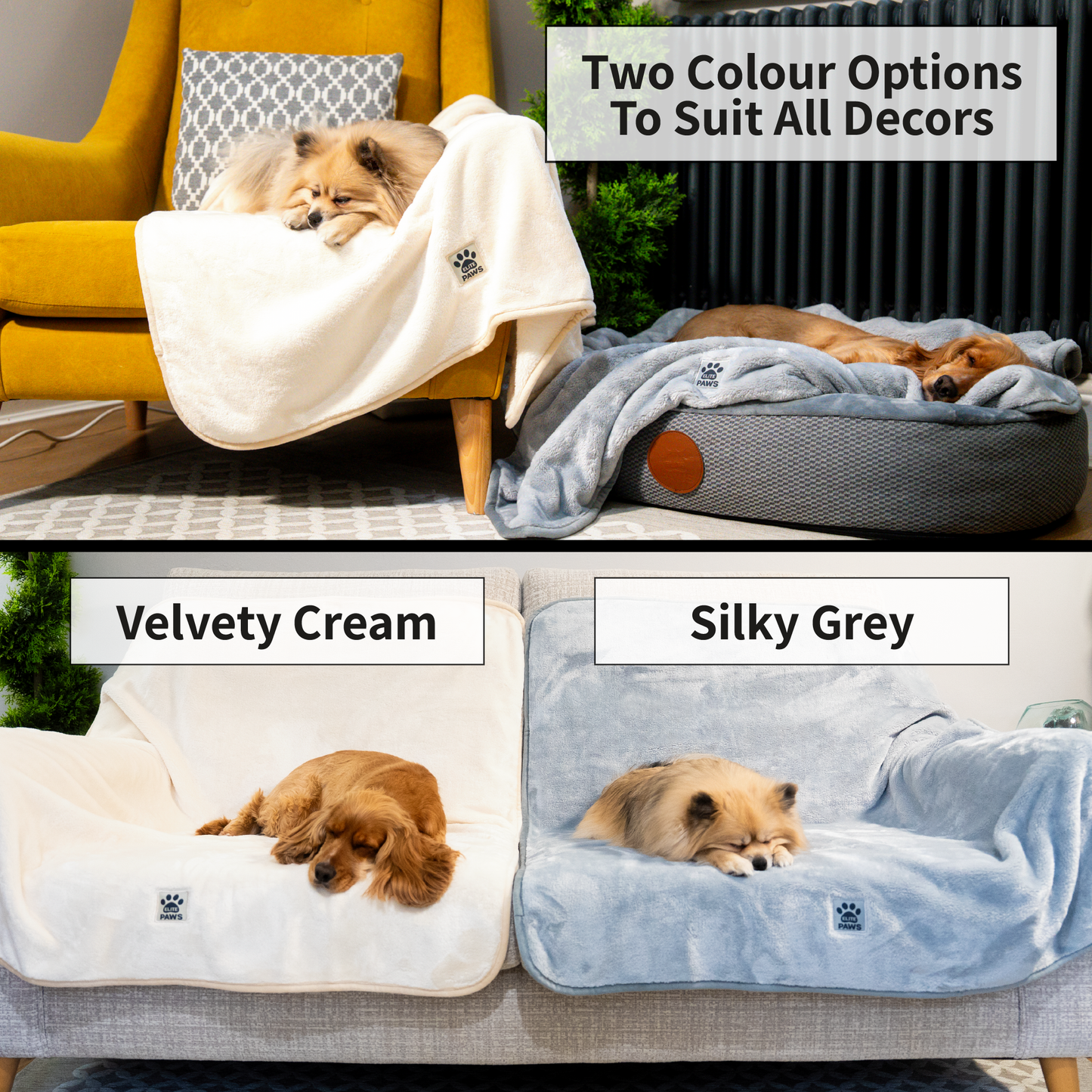 Luxury Dog Blanket - XL