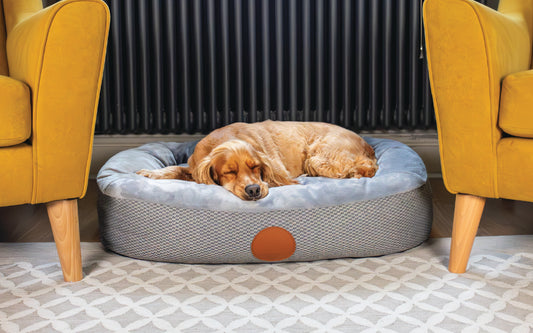 Dog sleeping comfortably on Elite Paws Dog Bed, showcasing ultimate comfort in a stylish living space.