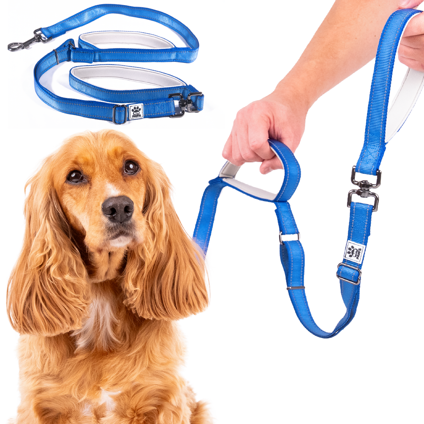 Dual Handle Dog Lead