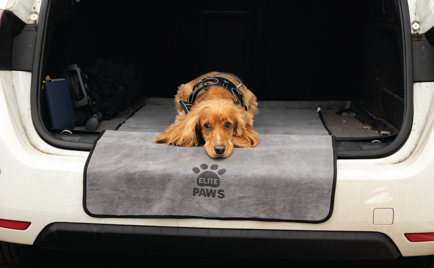 Luxury Dog Towel