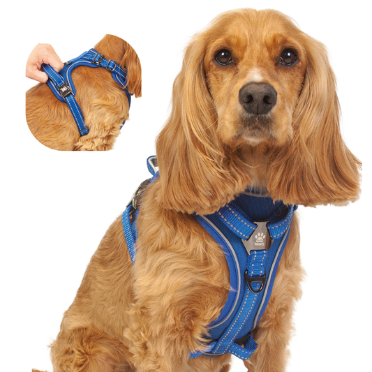 Dog Harness