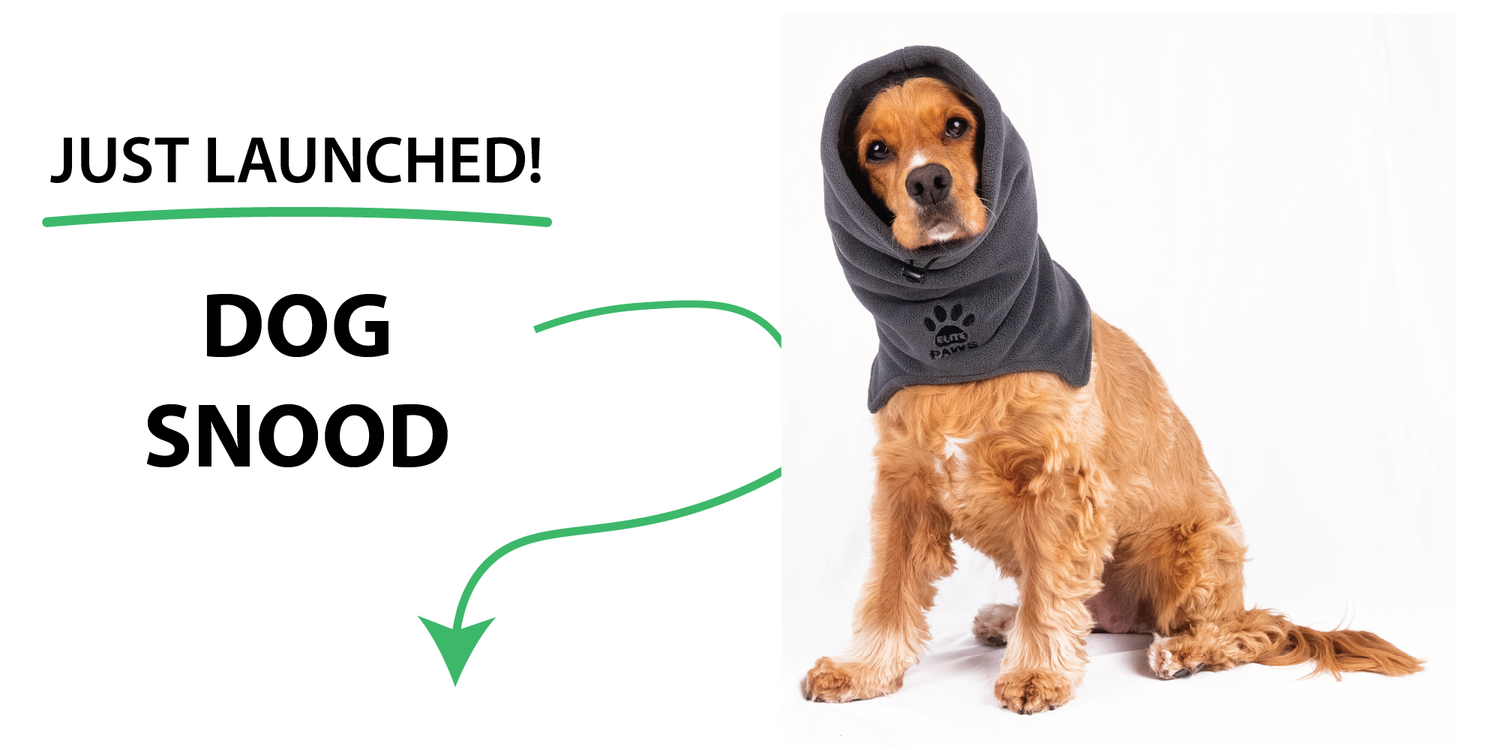 Dog Snood