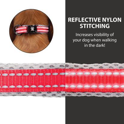  Elite Paws Dog Collar reflective stitching being highlighted as a feature
