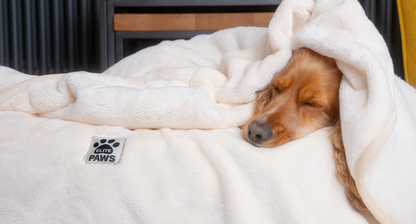Elite Paws Luxury Dog Blanket - Laid on a chair in a living room