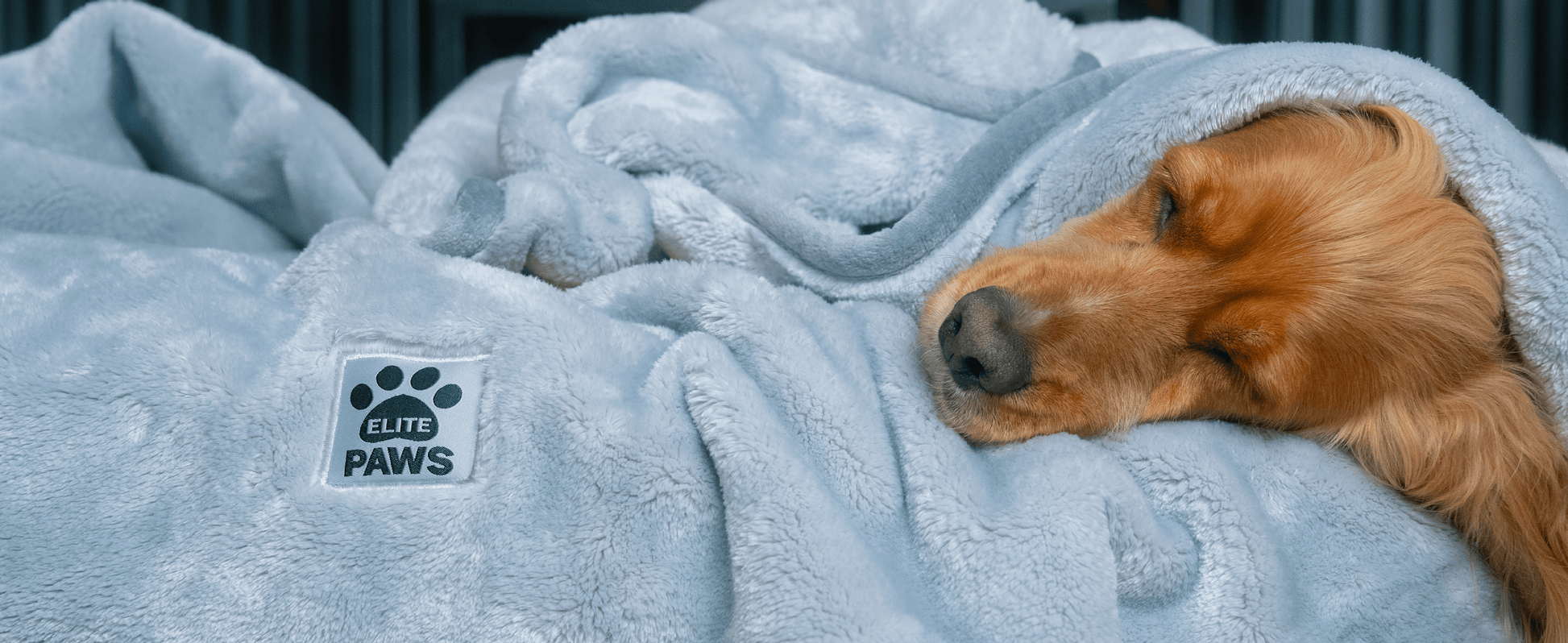 Luxury Dog Blanket XL – Elite Paws UK - Main Image