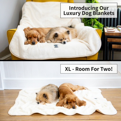Elite Paws Luxury Dog Blanket - Laid on a chair in a living room