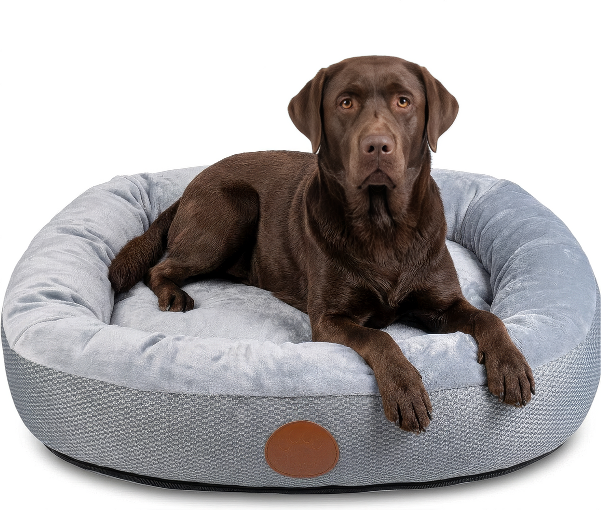 Elite Paws Dog Bed - Ultimate Comfort