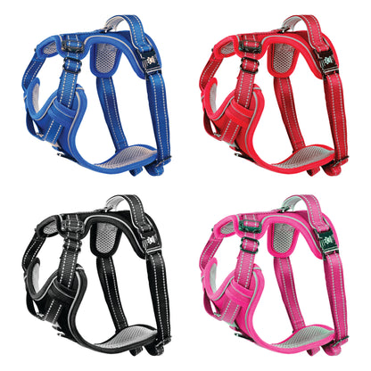 A selection of four Elite Paws Dog Harnesses