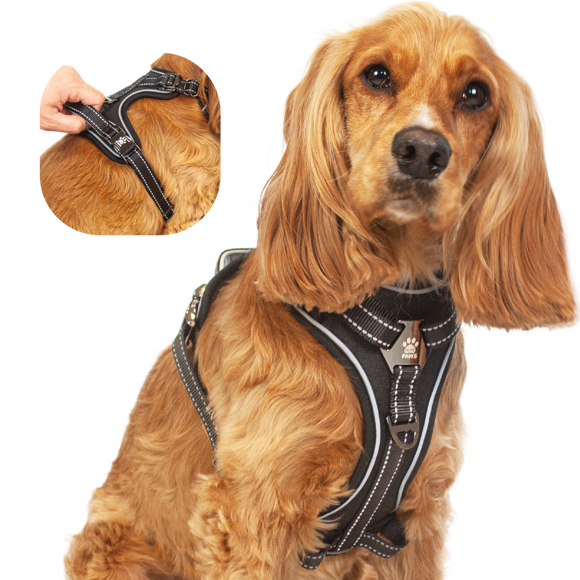 Elite pet deals harness