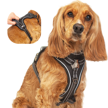 Elite Paws Dog Harness on a golden dog showcasing robust metal buckles and quick-release neck clip for easy use.