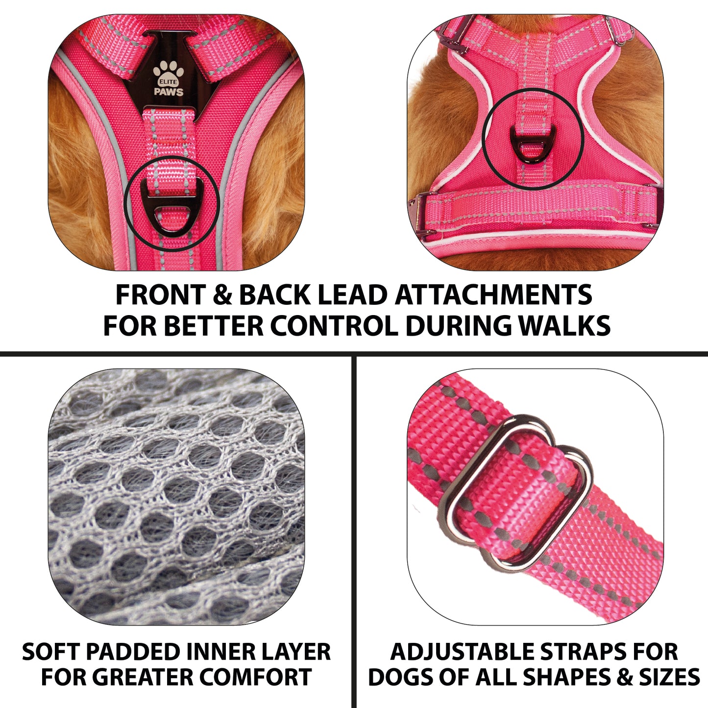 Dog Harness