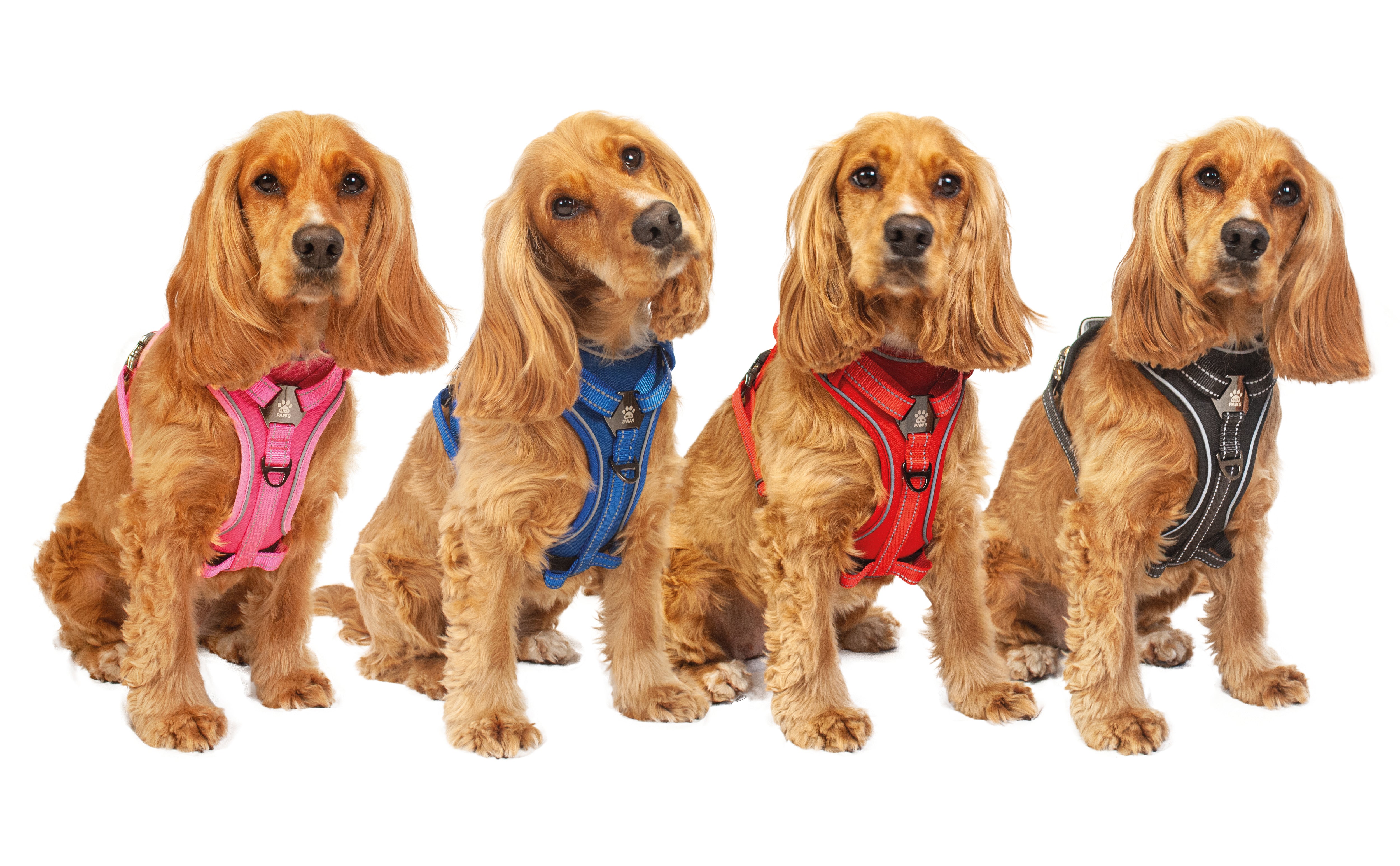 Dog Harness Elite Paws UK