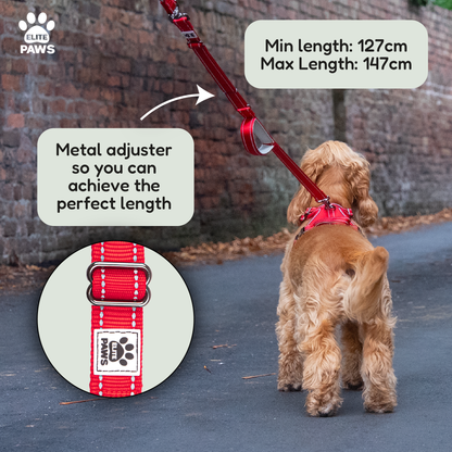 Dual Handle Dog Lead