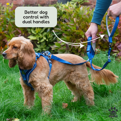 Dual Handle Dog Lead