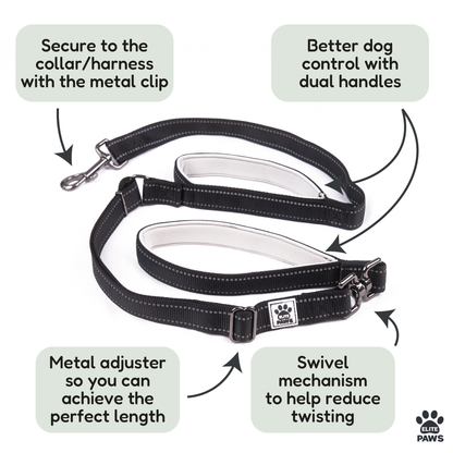 Dual Handle Dog Lead