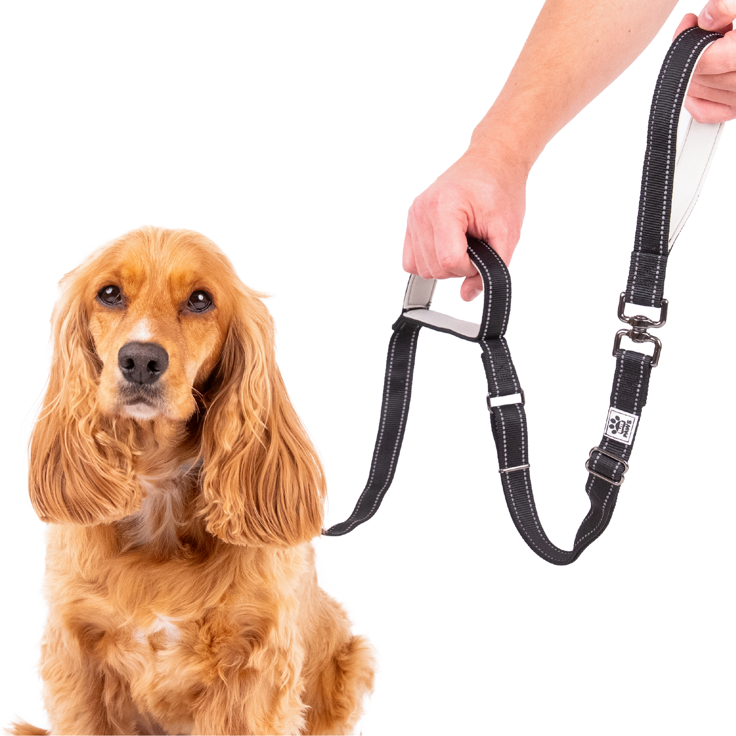 Dual Handle Dog Lead