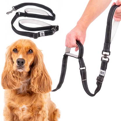 Dual Handle Dog Lead