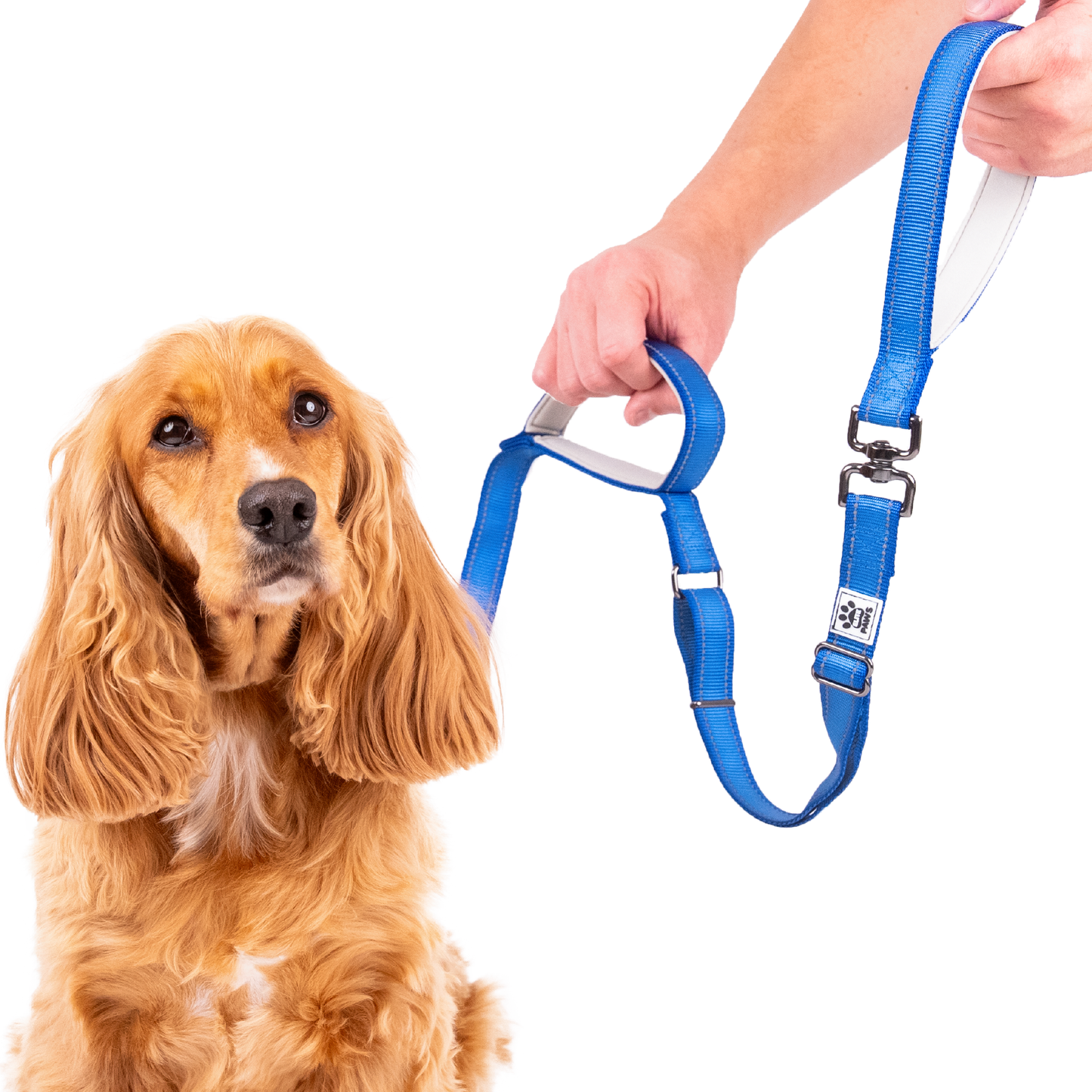 Dual Handle Dog Lead