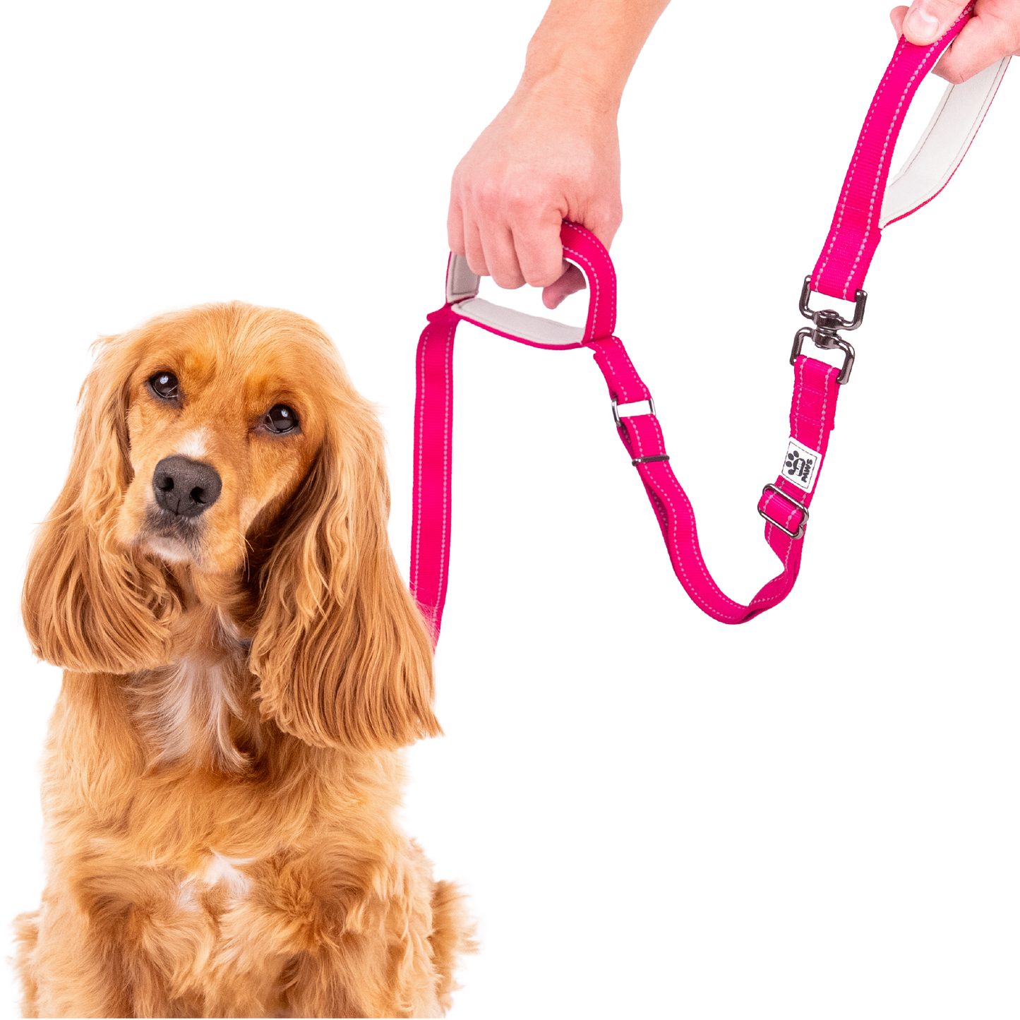 Dual Handle Dog Lead