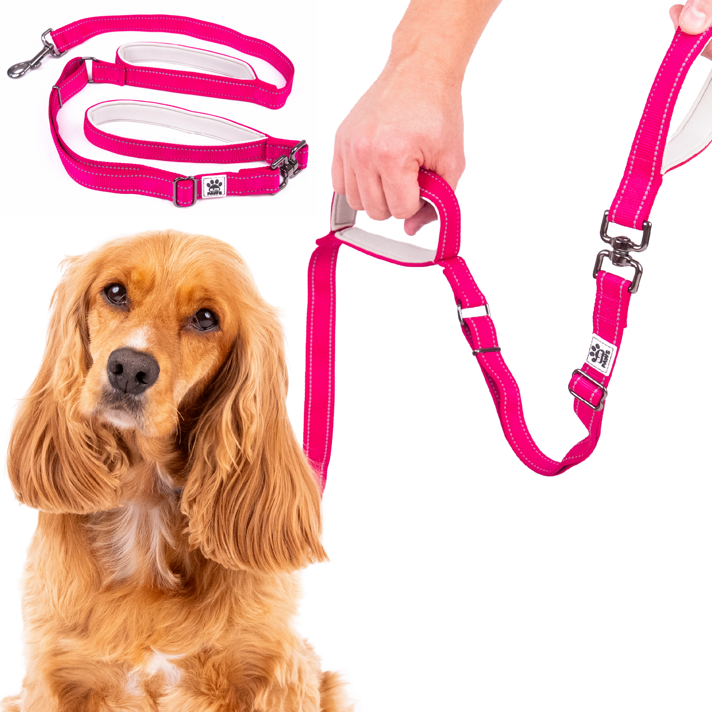 Dual Handle Dog Lead