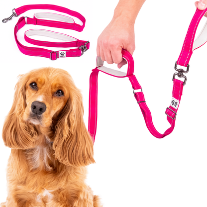 Dual Handle Dog Lead