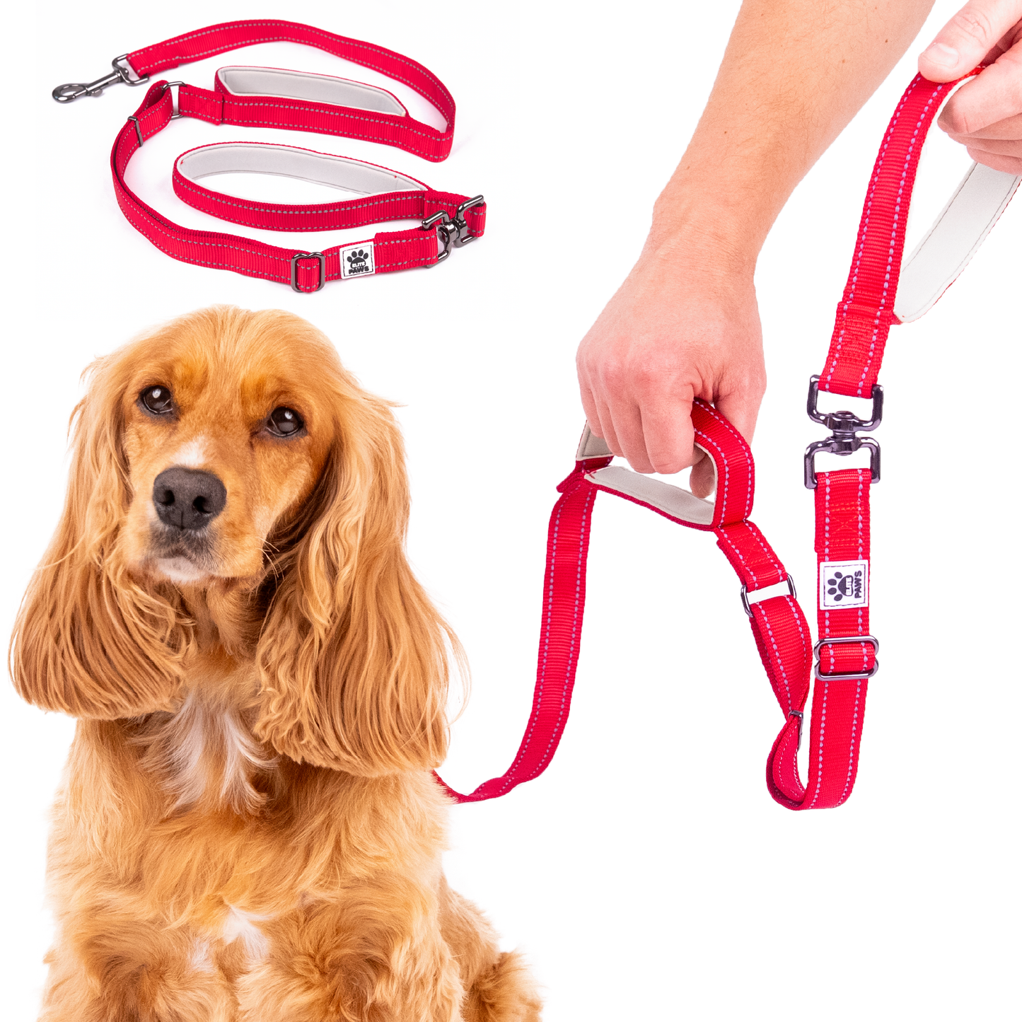 Dual Handle Dog Lead