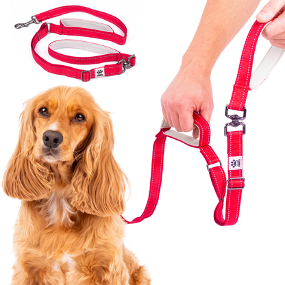 Dual Handle Dog Lead