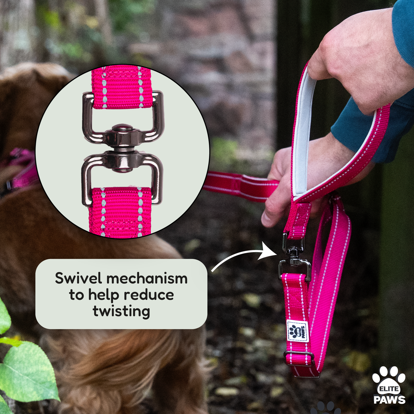 Dual Handle Dog Lead