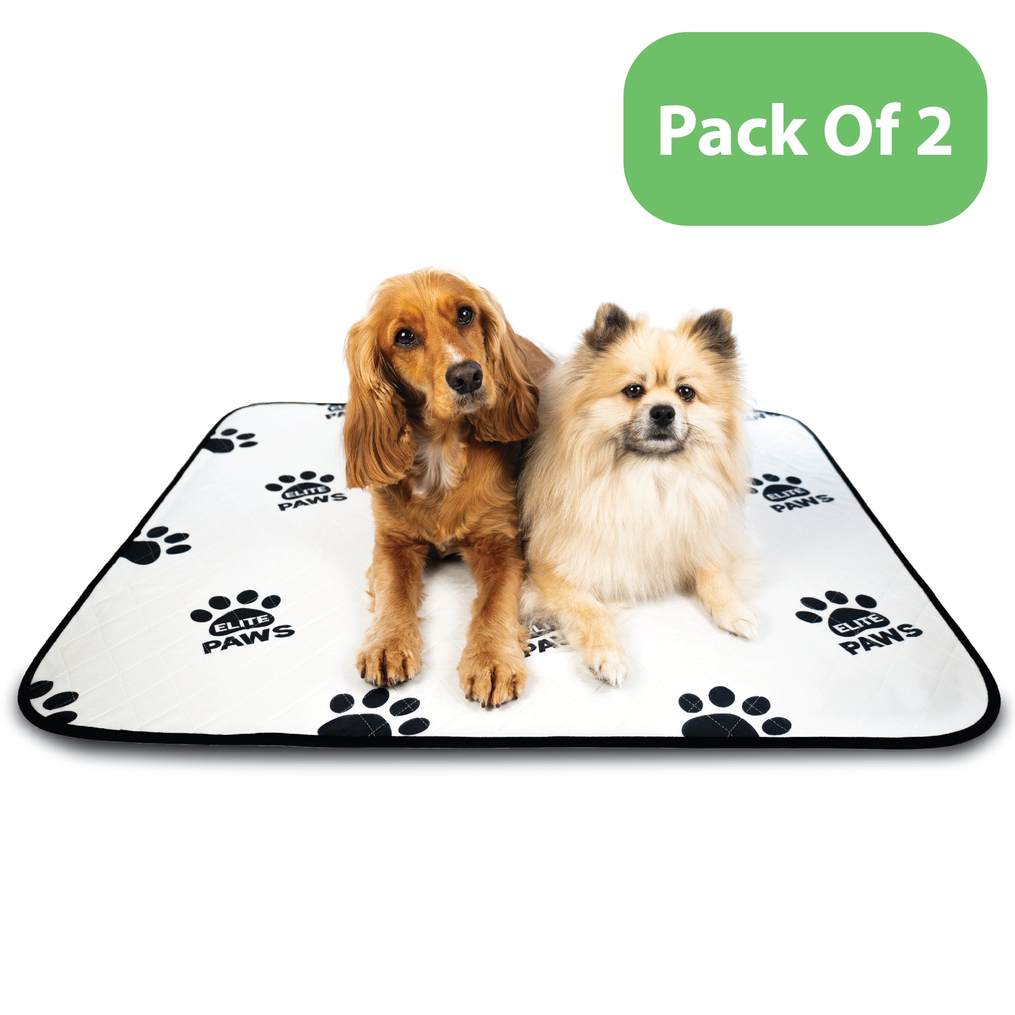 Paws pet pad best sale