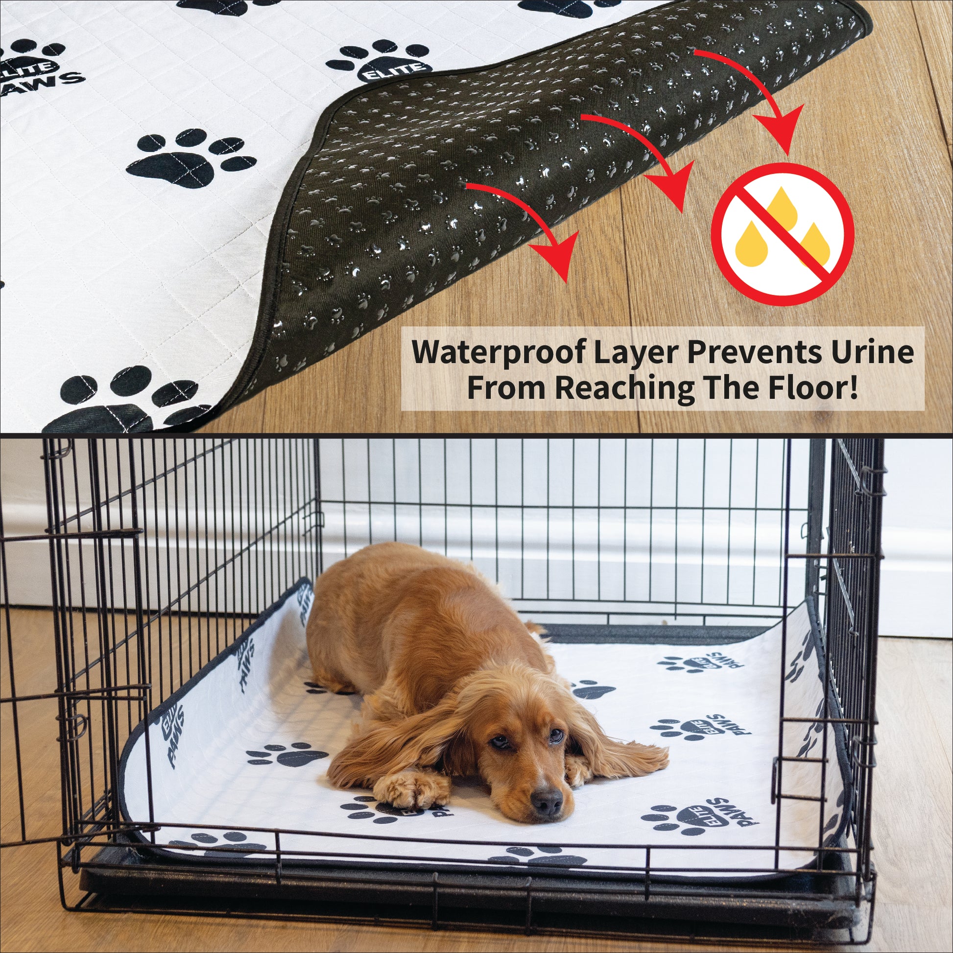 Puppy Pads How To Get Your Puppy To Stop Peeing In His Crate Puppy
