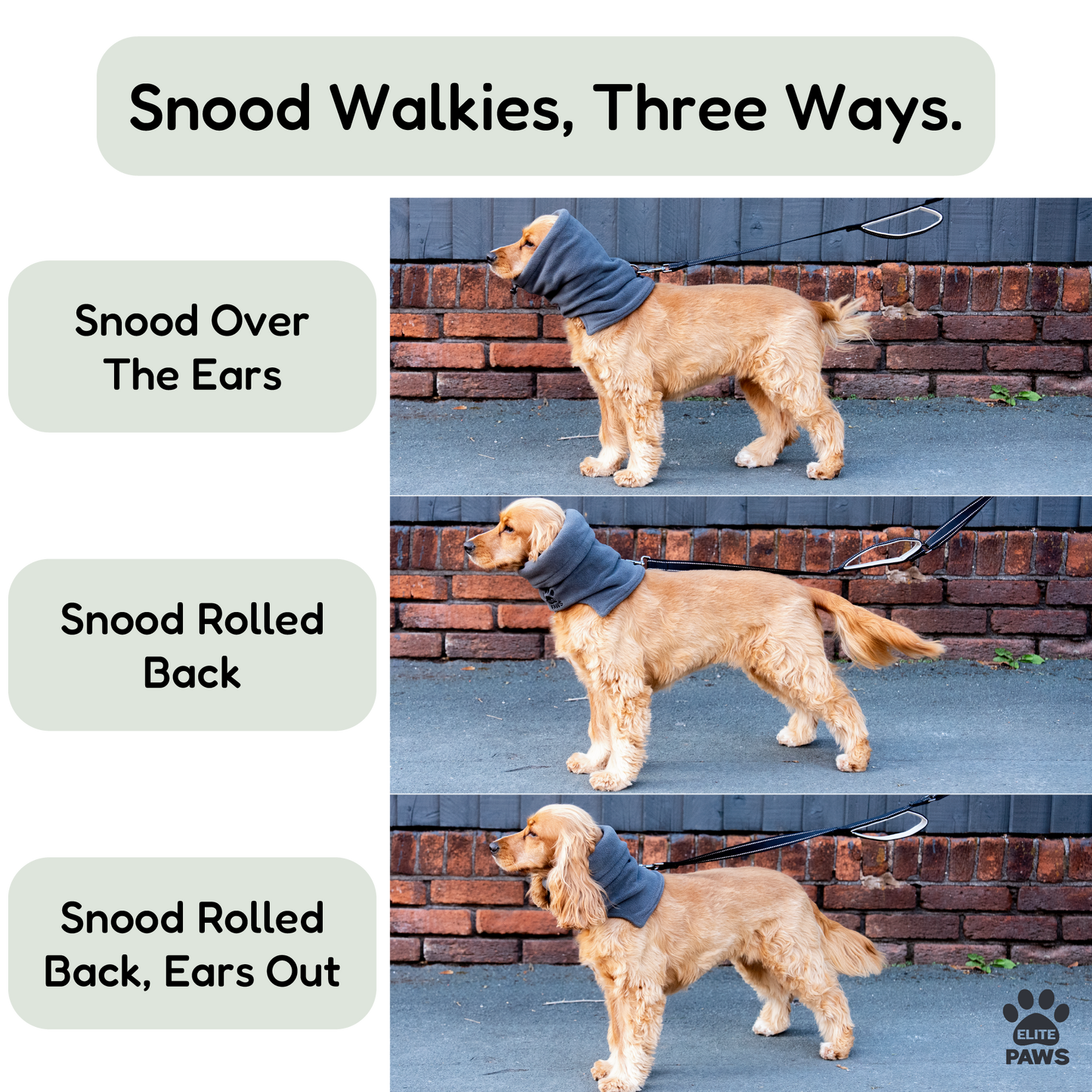 Dog Snood