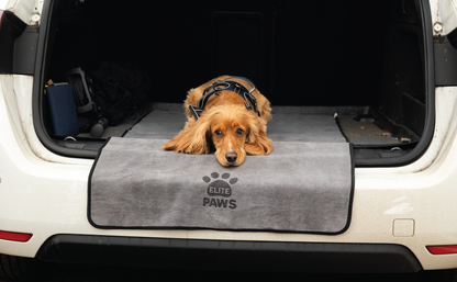 Luxury Dog Towel