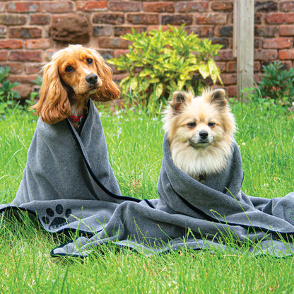 Luxury Dog Towel