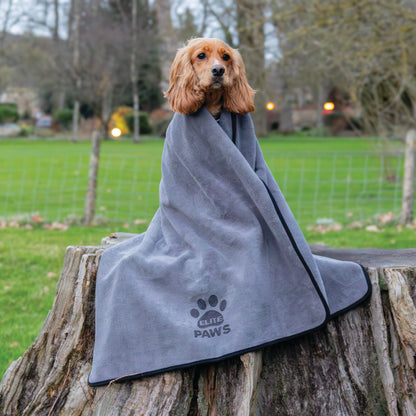 Luxury Dog Towel
